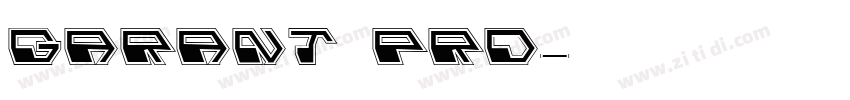 Garant Pro字体转换